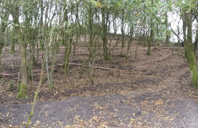 5 Person Holiday Home in Esbjerg V-by Traum - Foto 23