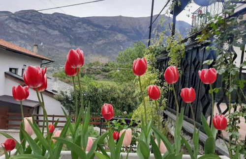 La Maison de Joanna - Foto 24