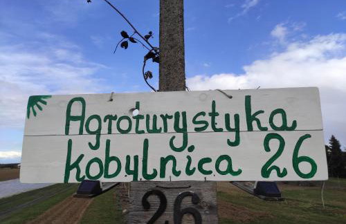 Agroturystyka Kobylnica nad Wisłą - Foto 52