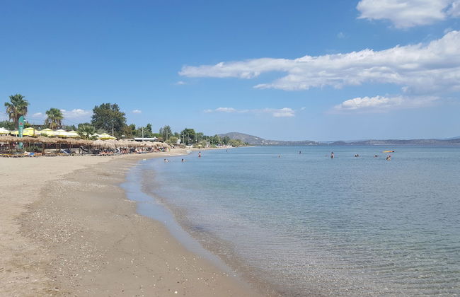 esperides holidays - Foto 45