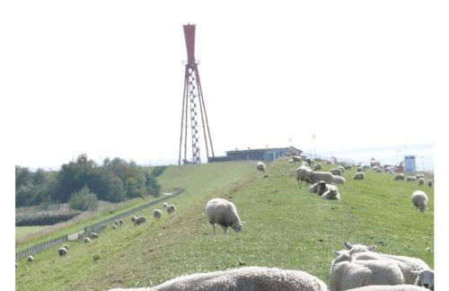 Eul K3 completely fenced - Foto 22