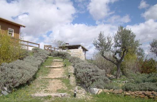 Casa das Arribas - Rio Douro aos seus pés - Foto 5