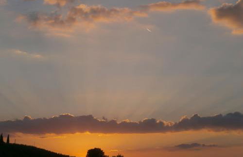 Tenuta Colverano - Foto 53