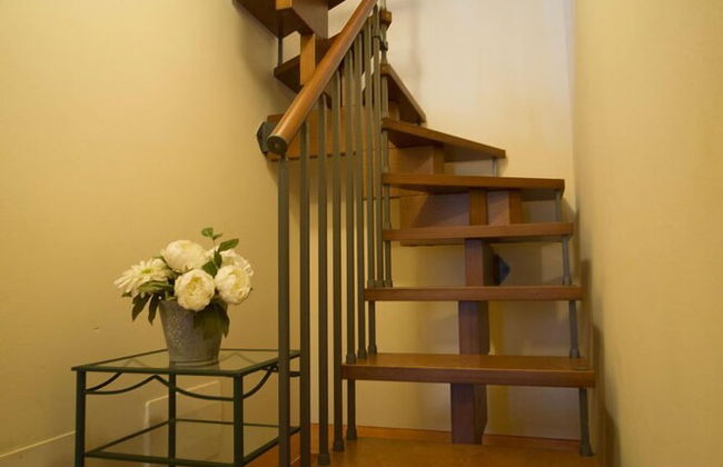 azienda agricola lo zolfino - Foto 37