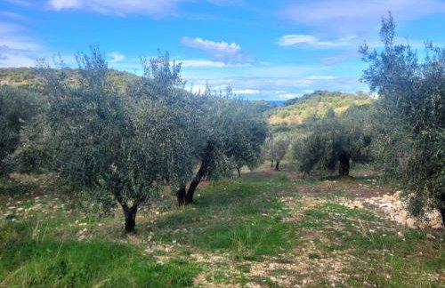 Gelbes Haus Korfu - Foto 25