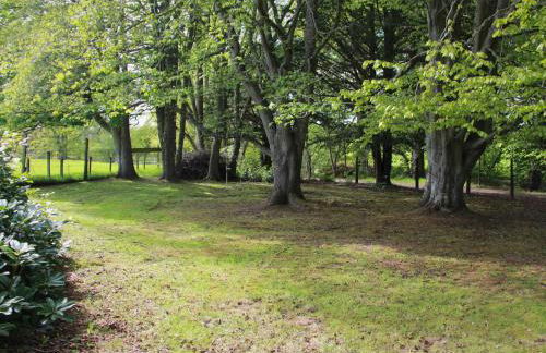 Forester's Cottage - Foto 12