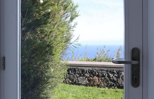 Antiga Fábrica de Chá - Amazing Ocean View - Photo 68