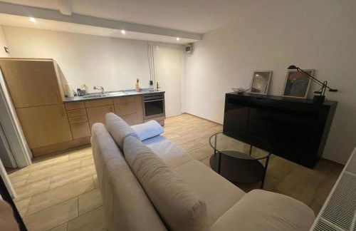 Pendler Montagewohnung Kandern, Lörrach, Basel D,CH, FR - Foto 10