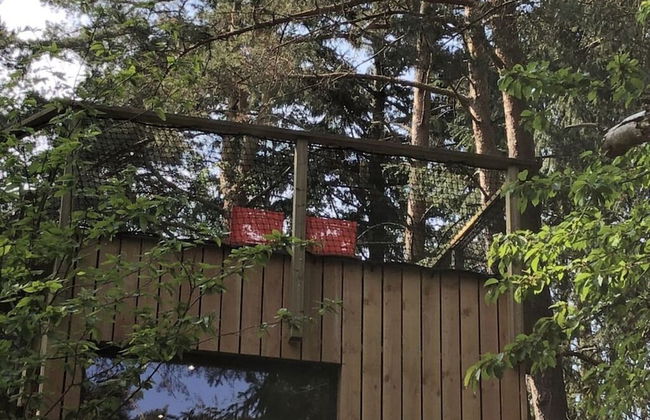 Holiday Home Under the Trees - Photo 26