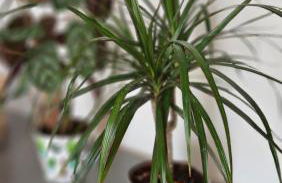 Gîte la Doucette proche des Cascades - Photo 53