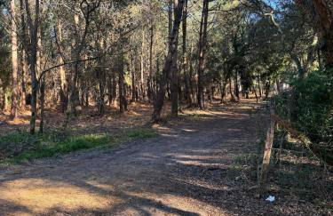 L'Eclat Terrasse - Piscine - Tennis - Foto 28
