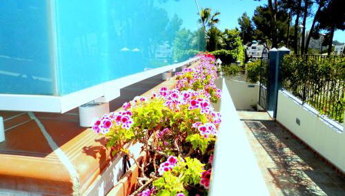 Apartamentos Petit Blau - Foto 5