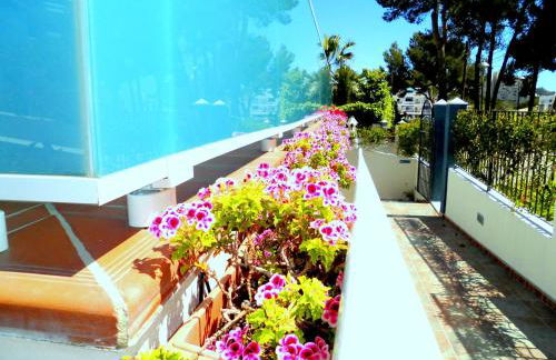 Apartamentos Petit Blau - Foto 5