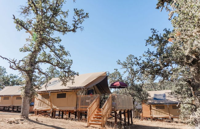 Huttopia Wine Country - Foto 47