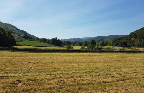 Shepherds hut Dolly wagon - Foto 16