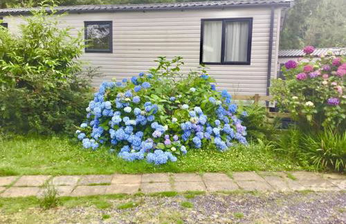 38 The Green - Foto 14