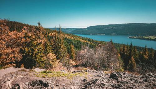 cozy Black Forest Tiny House close to lake - Foto 4