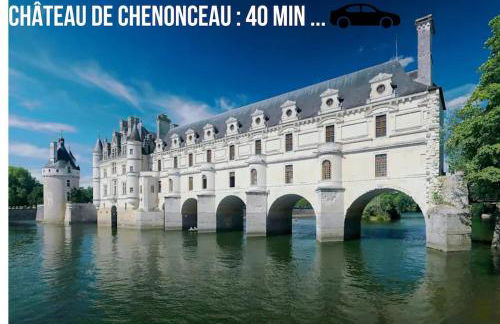 îlot cosy and SPA -PROCHE ZOO BEAUVAL - Foto 31