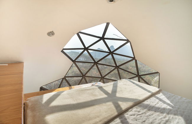 Bosque Geométrico - Foto 28