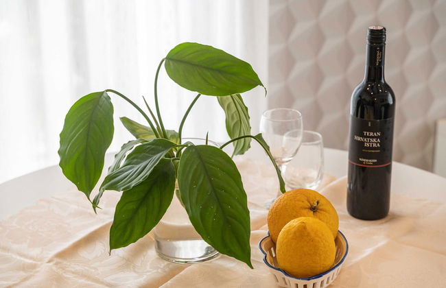 Apartments Villa Palma - Foto 76