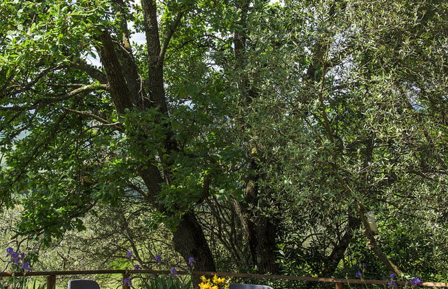 Casolare Ser Chelino - Foto 25