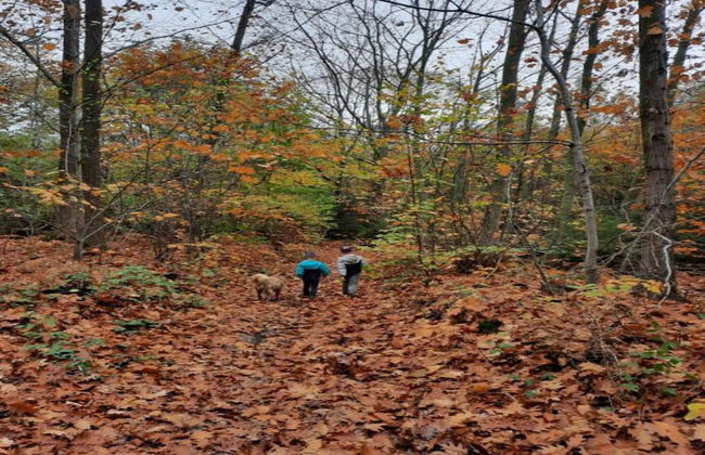 Spacious Villa With Tennis - Photo 38