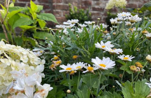 Le petit paradis - Foto 35