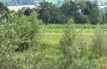 Ferienhaus Weserblick, Haus Zander - Foto 26