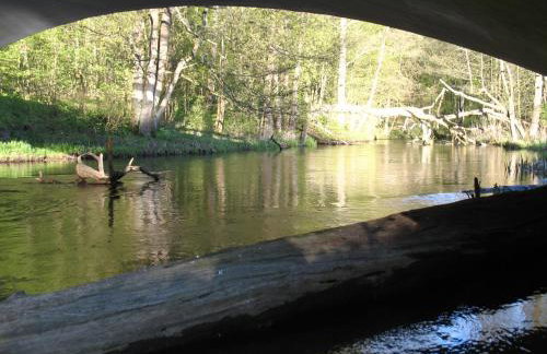 W Pelniku - Photo 65