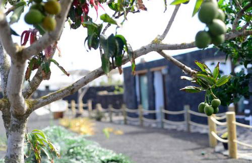 eco suite la Vegueta - Foto 20