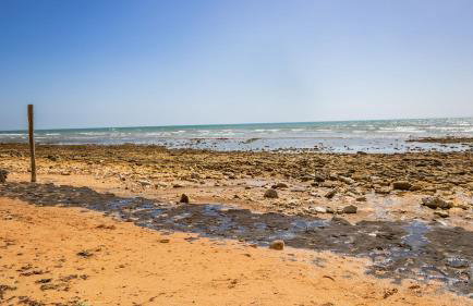 La petite maison avec palmier - Foto 21