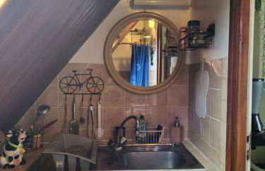 Studio Colmar avec jardin privatif - Foto 4