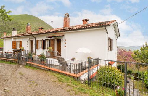 Sassi Scritti - Acero Montano - Photo 14