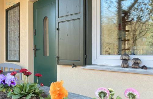 Zielone Okiennice Łagów - Foto 43