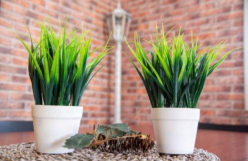 Casa Melchor - Photo 37