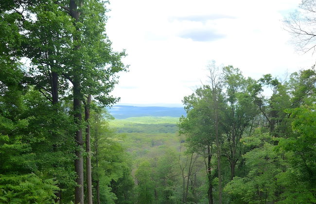 Above Sleepy Hollow - A Hidden Getaway - Foto 38