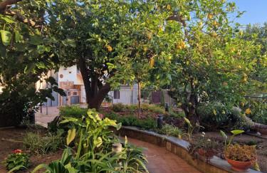 Il Giardino dei Gigli - Photo 37