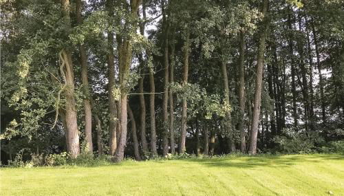 Stunning Home In Krems Iiwarderbrück - Foto 3, Garden