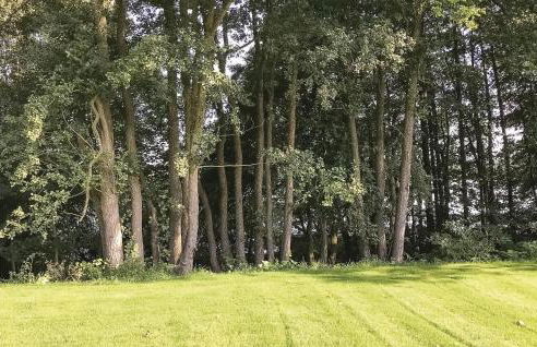 Stunning Home In Krems Iiwarderbrück - Foto 3