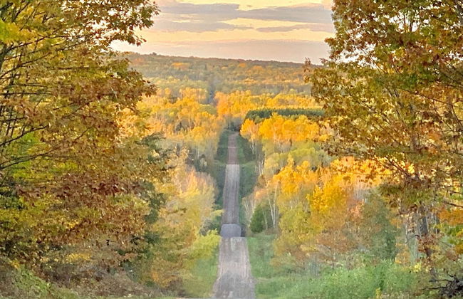 Hauser's Bayfield Cabin - Foto 12