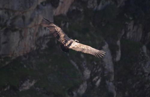 Casa de l Bárrio - Foto 24