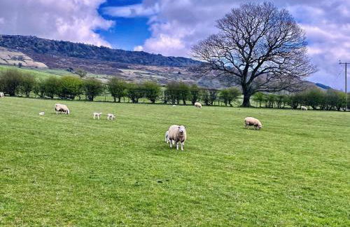 1 Bed in Leek oc-87507 - Foto 26