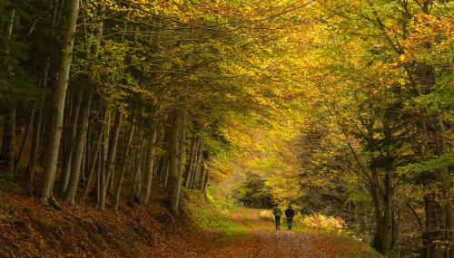 Partacua by BeValle - Foto 4