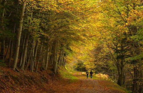 Casa Lluna by BeValle - Photo 24