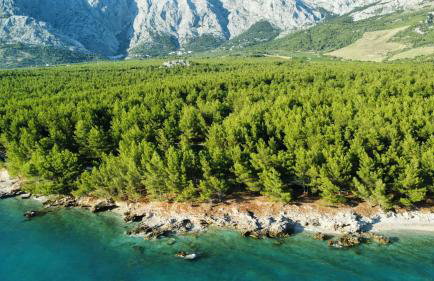 Fiori Boutique Apartment - Foto 43