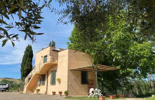 Adamasseria - Foto 32