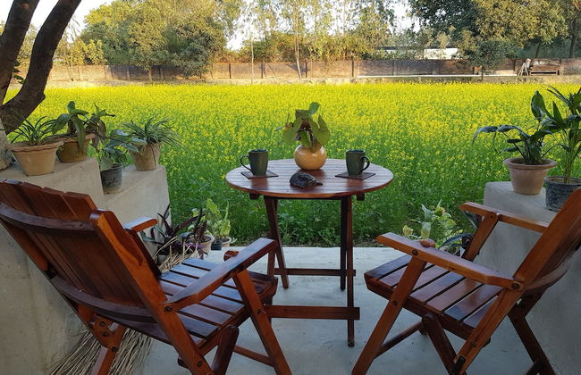 Koko's Farm - Foto 29