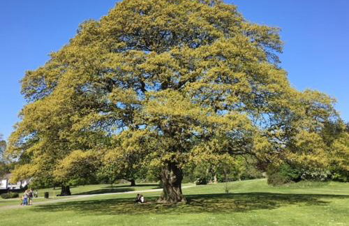 Crotlieve Barn - Photo 54