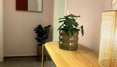 Lightplace - Boxspring - Parkplatz - Netflix - Photo 3