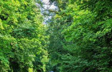 Mini Escape - 2 Berth Narrowboat on the Grand Union, Hertfordshire - Photo 7